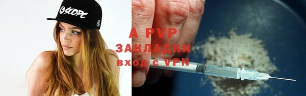 стаф Абаза