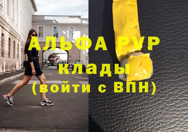 стаф Абаза