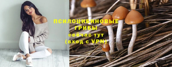 стаф Абаза
