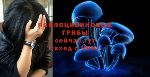 метадон Пересвет